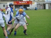 leinster-senior-hurling-final-2013-016