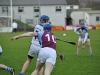 leinster-senior-hurling-final-2013-019