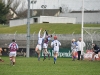 leinster-senior-hurling-final-2013-029