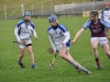 leinster-senior-hurling-final-2013-051