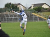 leinster-senior-hurling-final-2013-056