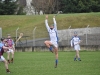 leinster-senior-hurling-final-2013-064