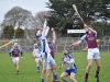 leinster-senior-hurling-final-2013-066