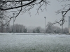 ty-snow-hike-21-01-13-3