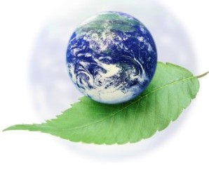 environmental awareness