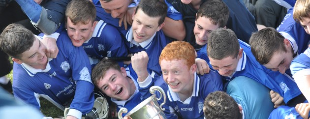 Senior Hurling Final 134